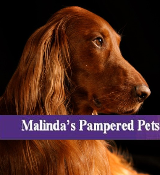 Logo for Malinda's Pampered Pets